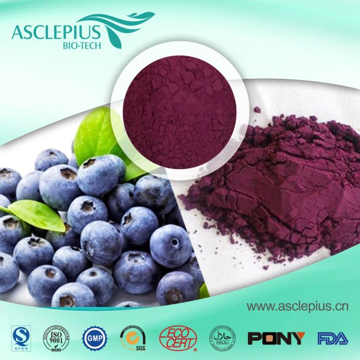 Pudră de extract de fructe de afine 25% pigment de antociani HPLC, furnizor cu ridicata UV