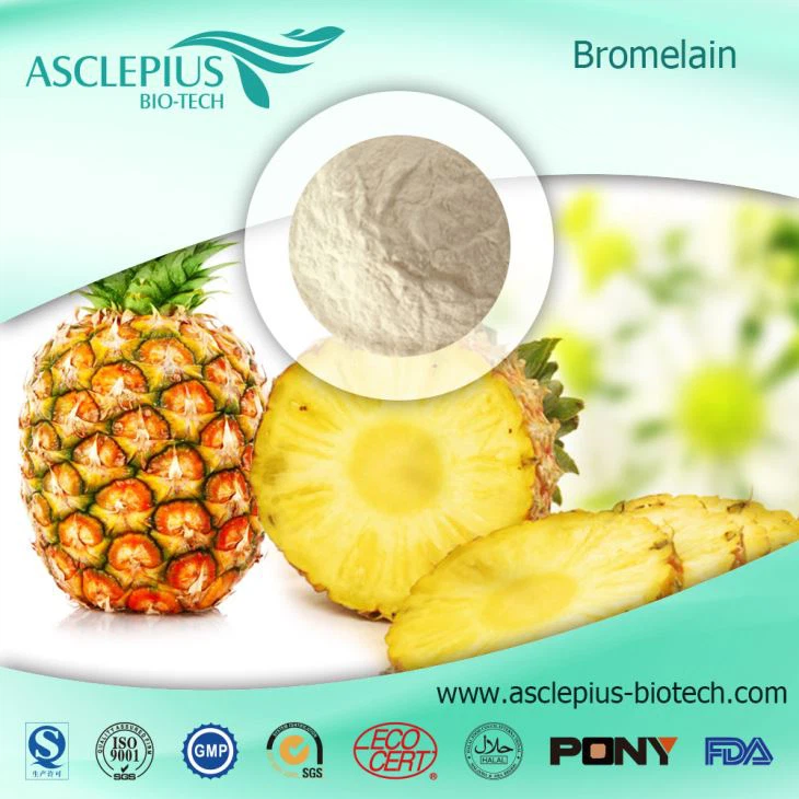 GMP Factory Supply Cea mai bună calitate bromelaină/extract de ananas/bromelină pulbere