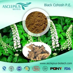 Furnizor de pulbere de extract de cohosh negru Comerț cu ridicata / Pulbere de extract de saponine triterpenoide